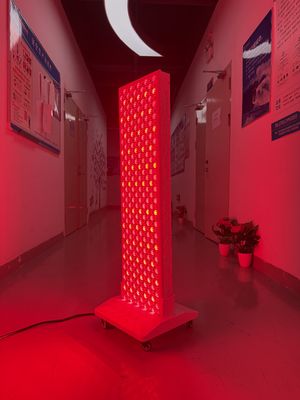 購入 High Power 2000W Red + Near Infrared Light Panel – OEM Factory with Pulse Mode & Brightness Control オンライン製造