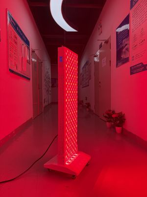 購入 OEM Factory Supply 2000W Red Light Therapy Panel – 630/660/810/830/850nm Wavelength Options オンライン製造