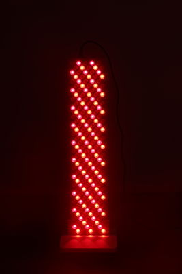 購入 1000w スキンケア用LED光線療法ランプ フェイシャルボディ循環用LED光線療法マシン オンライン製造