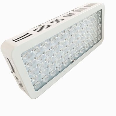 購入 NIR 850nm 300W不況のための完全なボディ赤灯療法装置 オンライン製造