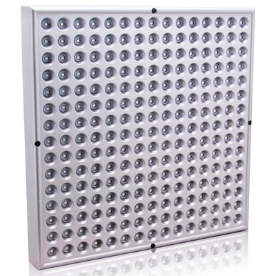 購入 フィートの表面のためのProtable 45W 660nm 850nmの赤外線ライト療法 オンライン製造