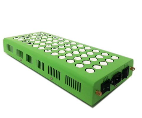 購入 300w 660nm 850nmの膝の苦痛のための反老化する赤外線ライト療法 オンライン製造
