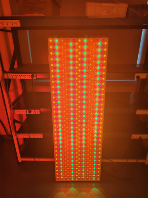 6000w 9波長 535 590 610 630 660 810 830 850 1060Nm 全身用LEDライトパネル