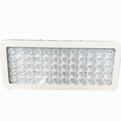 300W 850nmの赤灯および膝の苦痛のための赤外線ライト療法に近づくため