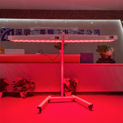名前