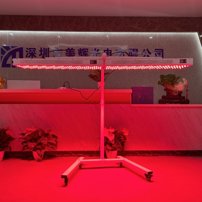 名前