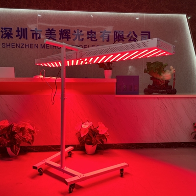 名前