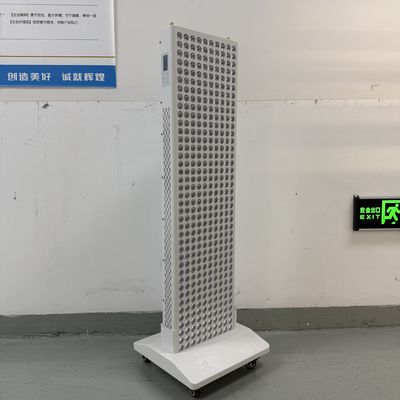 名前