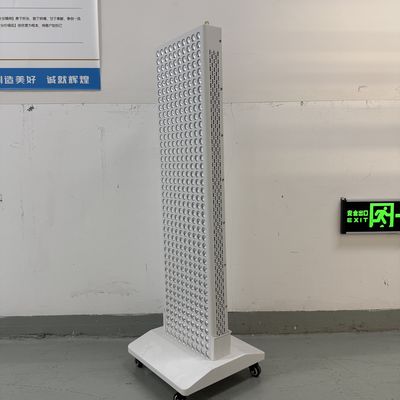 名前