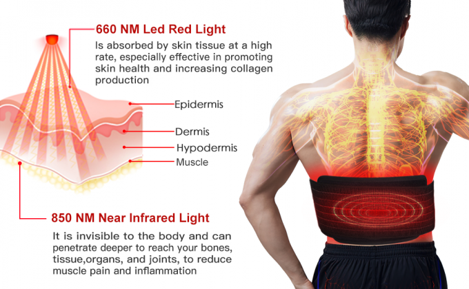 減量850nm LEDライト療法機械赤外線ライトボディ パッドの覆いベルト 0