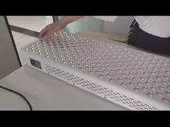 600Wの赤光療法パネル