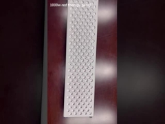1000W赤灯療法のパネル
