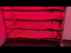 カスタム 660nm 850nm 赤光療法 120pcs LED減量装置