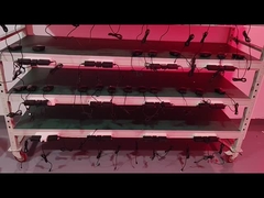 減肥抗老化レーザー リポ 660nm 850nm レッドライト療法ベルト