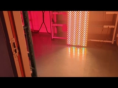 全身6000w赤外線LEDライト治療 皮膚用ライトマシン