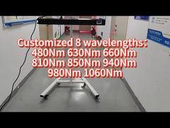 660nm 850nm 1000w 全身LEDライトセラピー 商業用家庭用